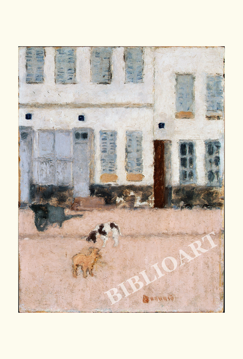 {i[-Two Dogs in a Deserted Street