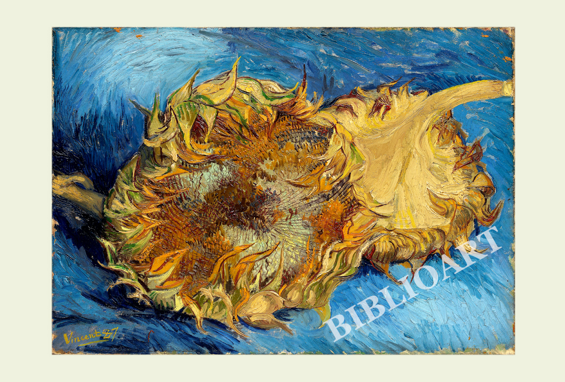 ruI|-Sbz-Still life of sunflowers
