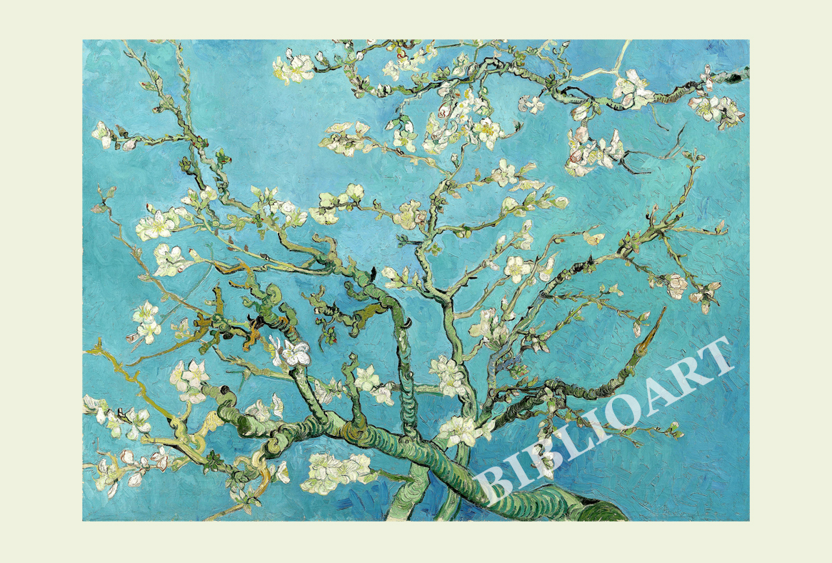 ruI|-Sbz-Almond Blossom