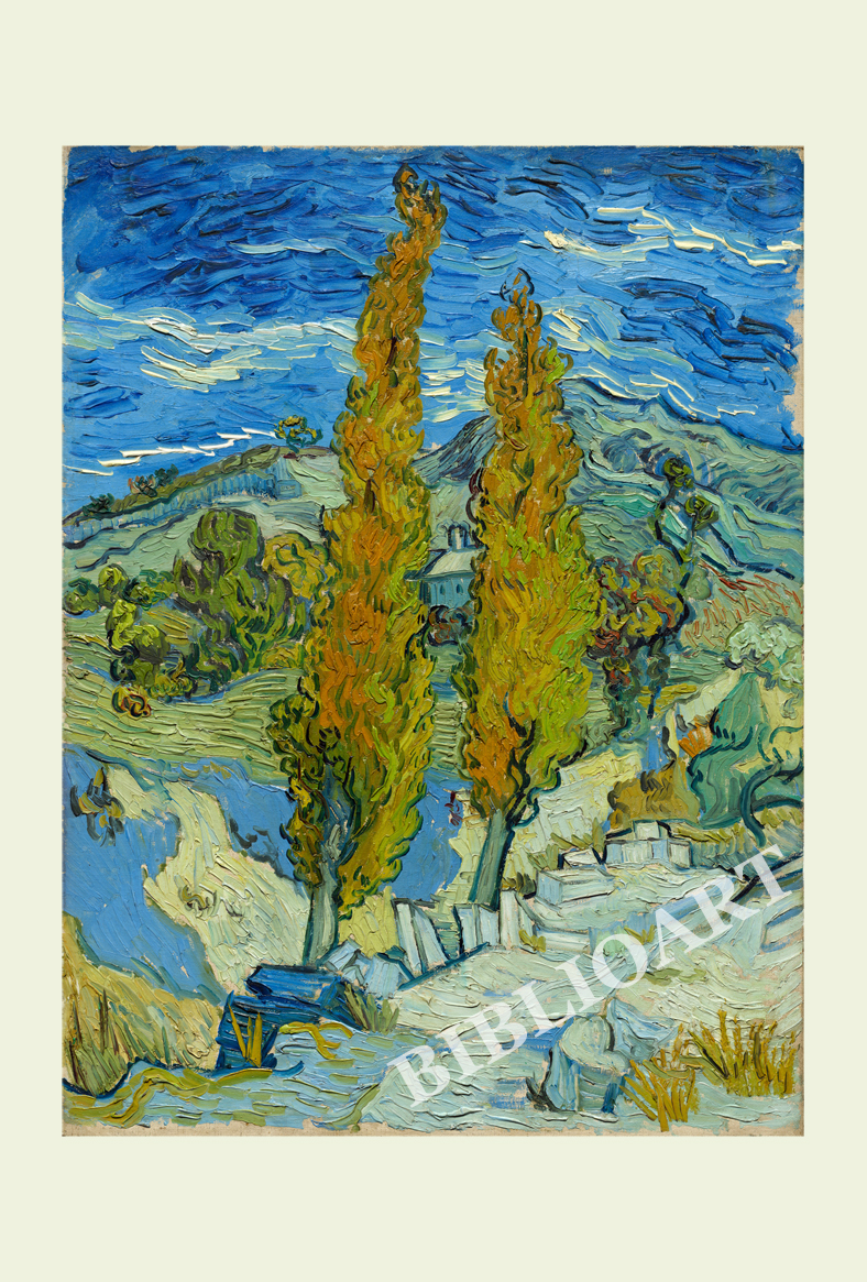 ruI|-Sbz-Two Poplars in the Alpilles near Saint-Remy