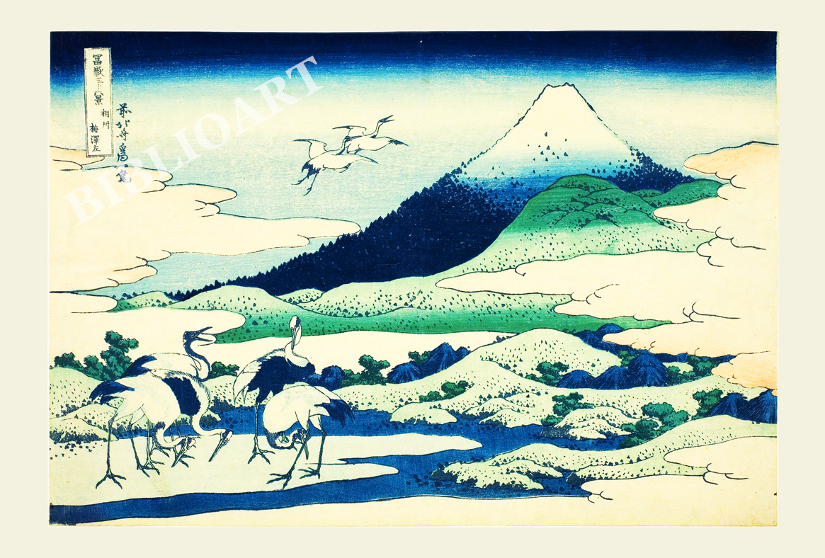 �k��-�x�ԎO�\�Z�i-���B�~��