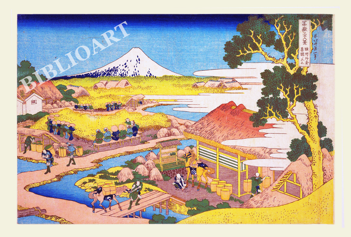 �k��-�x�ԎO�\�Z�i-�x�B�Бq�����m�s��