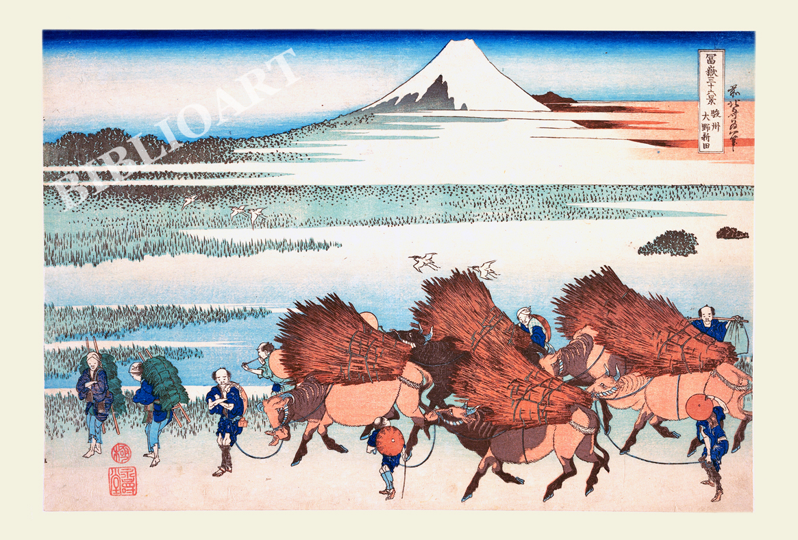 �k��-�x�ԎO�\�Z�i-�x�B���V�c