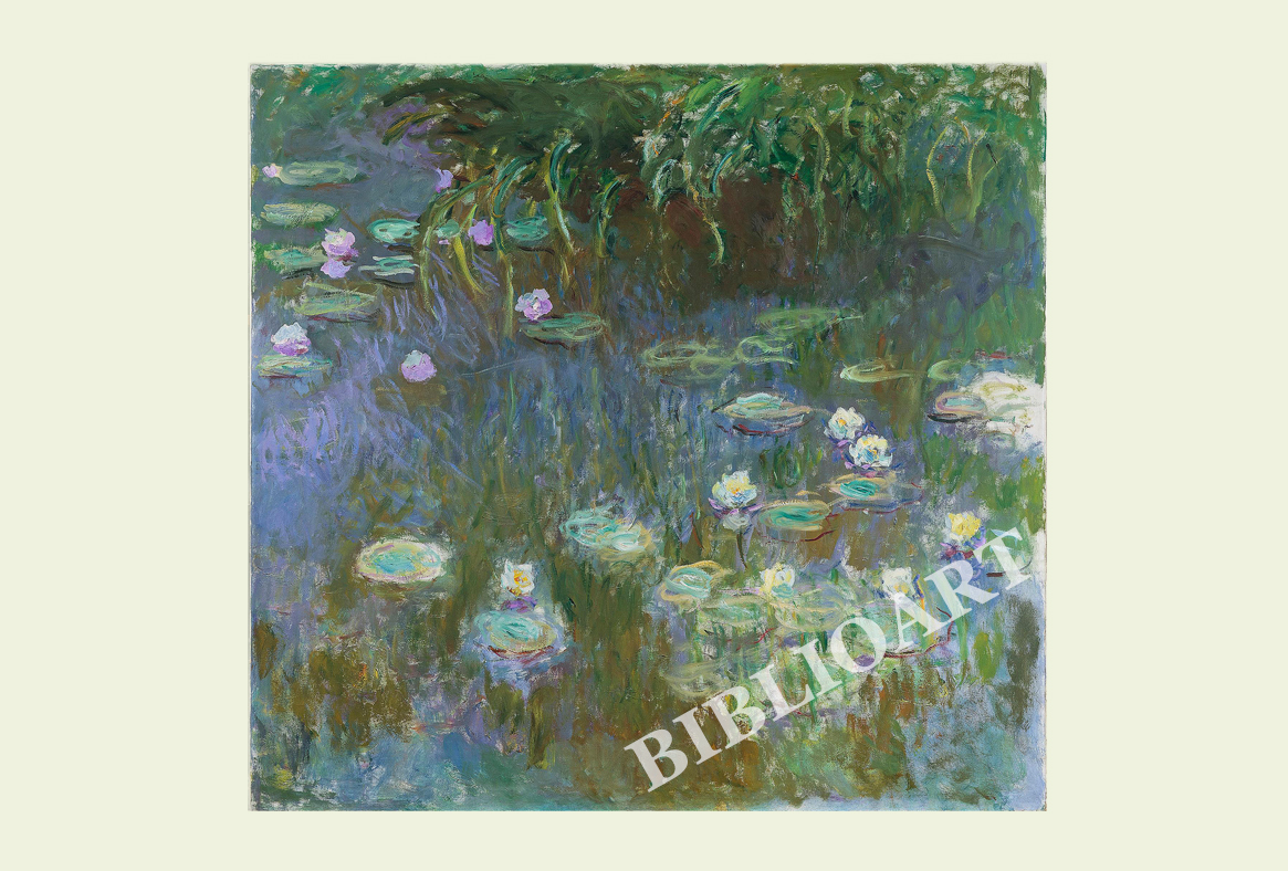 ruI|-l-Water lilies(c.1922j