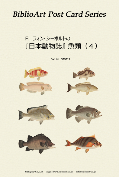 シーボルト-魚類-ポストカードセット