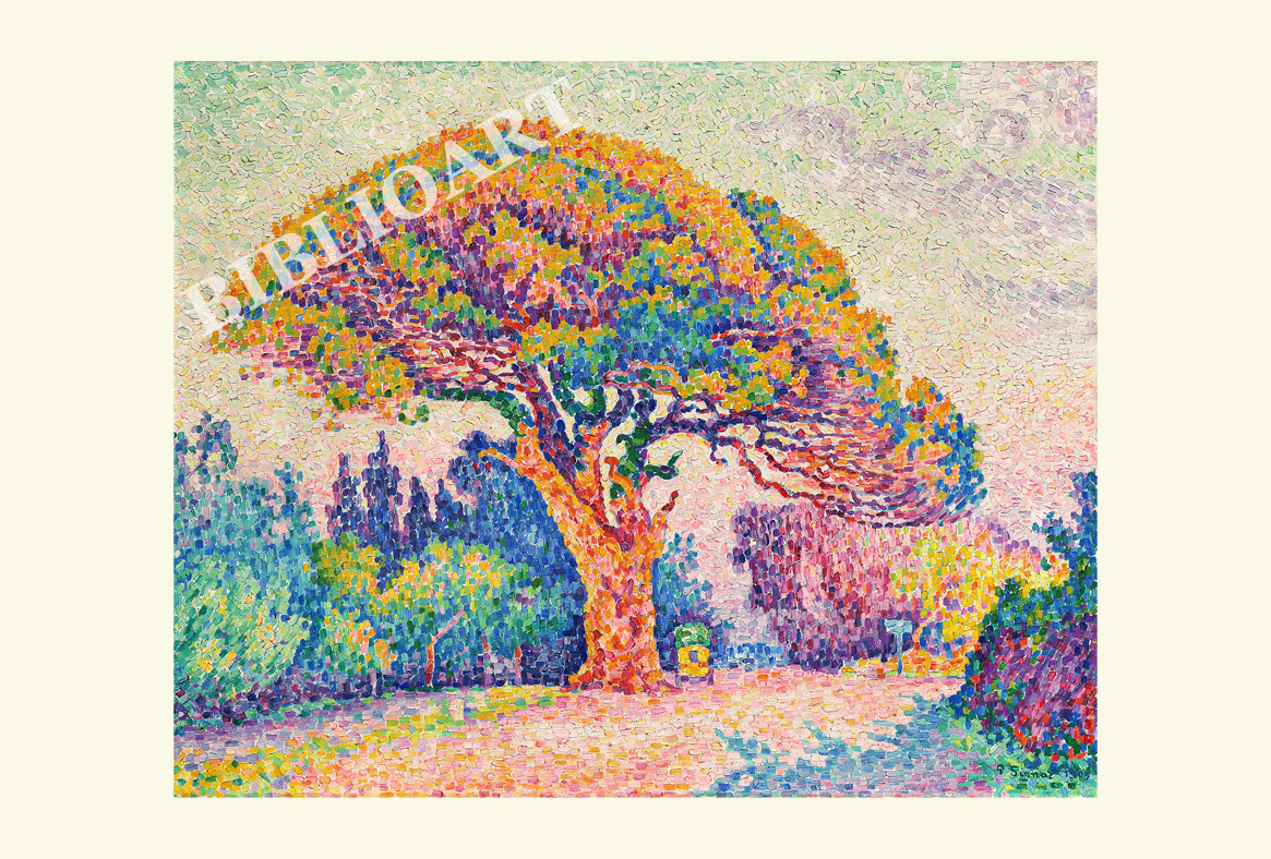 �V�j���b�N-The Pine Tree at Saint Tropez