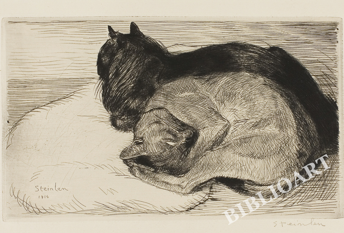 X^-Cat on a Cushion