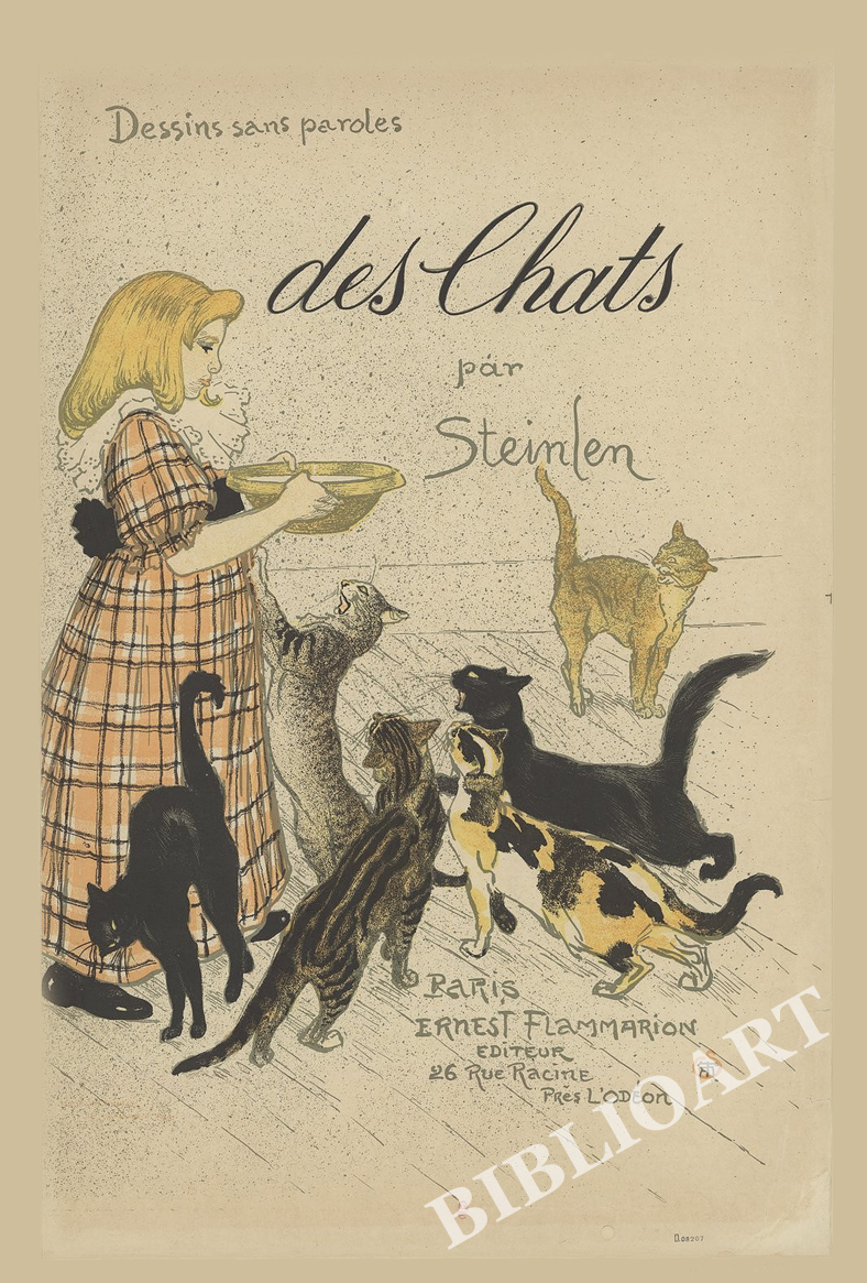 X^-Des_chats