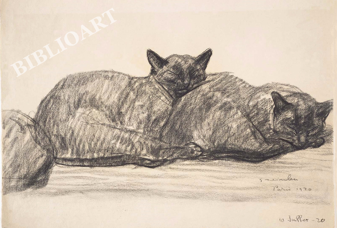 X^-Two Cats Sleeping
