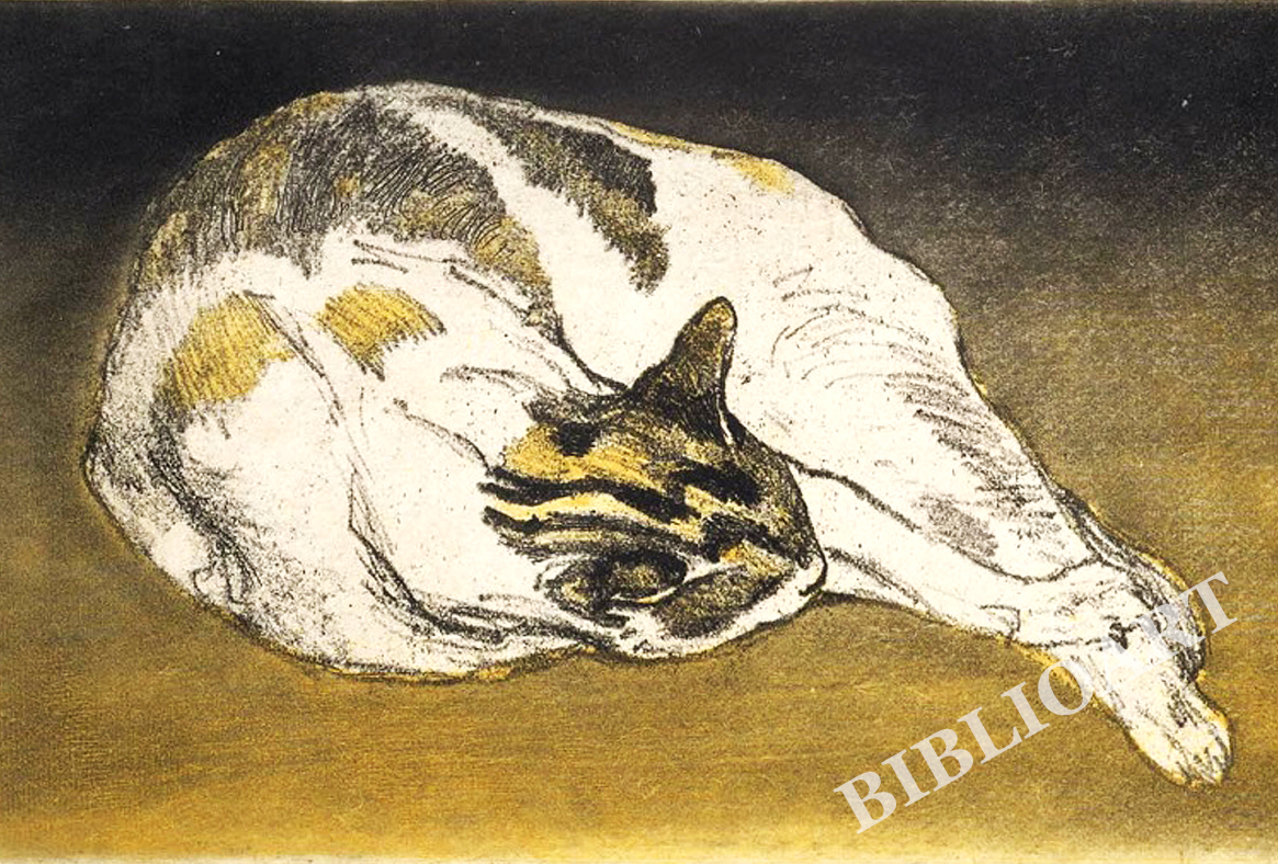 X^-Sleeping Cat